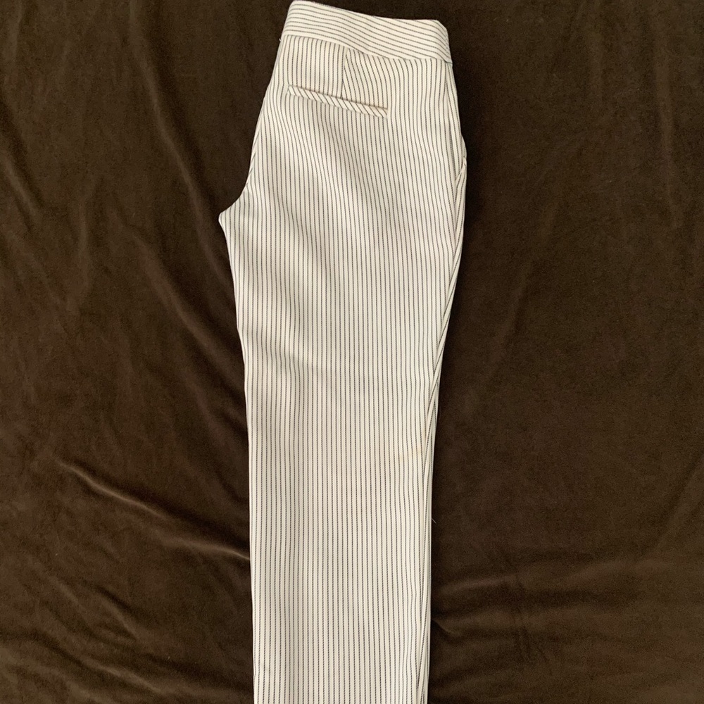 Express Pinstripe Columnist Pant